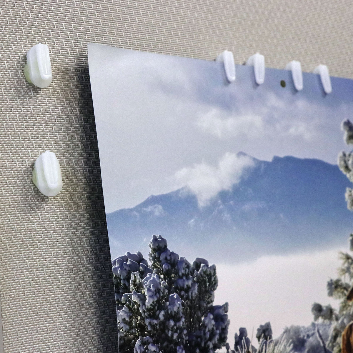 StikkiCLIPS™ Removable Reusable Adhesive Clips – 20ct